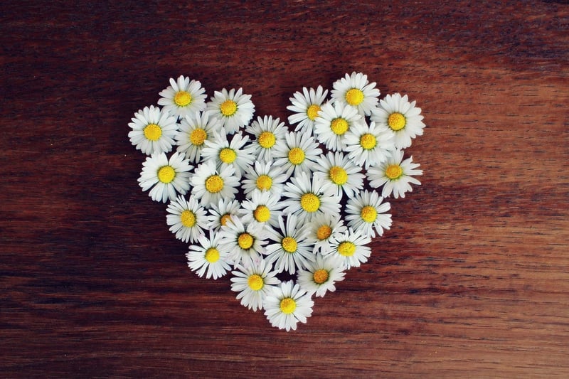 Heart Symbolism